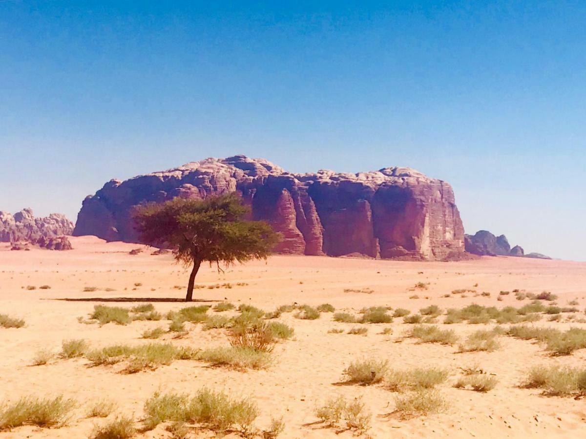 Wadi Rum Fun Time Tour'S Exterior photo